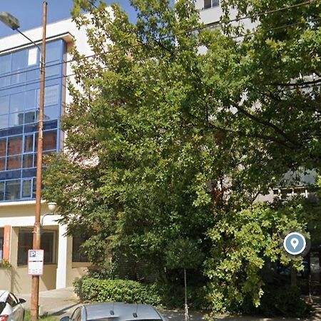David'S Studio Тимишоара Экстерьер фото
