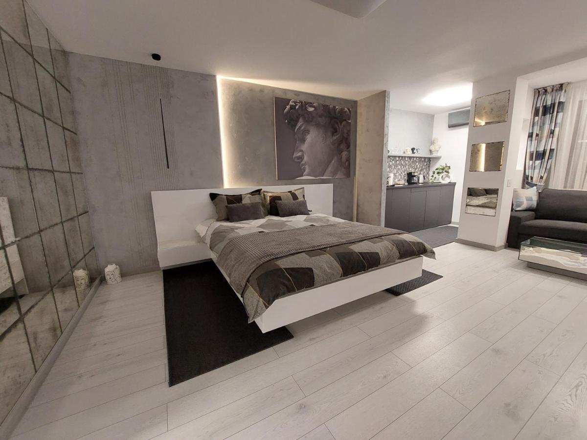 David'S Studio Тимишоара Экстерьер фото