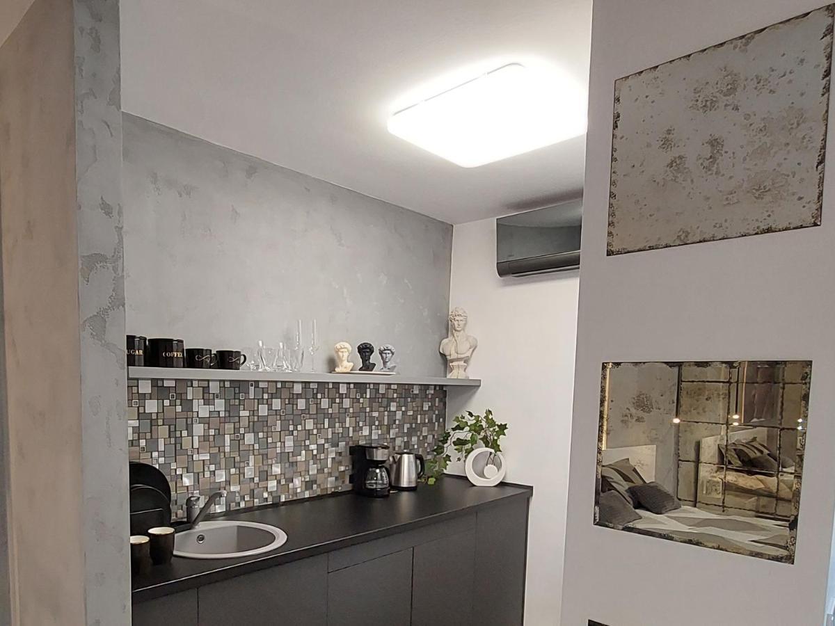 David'S Studio Тимишоара Экстерьер фото