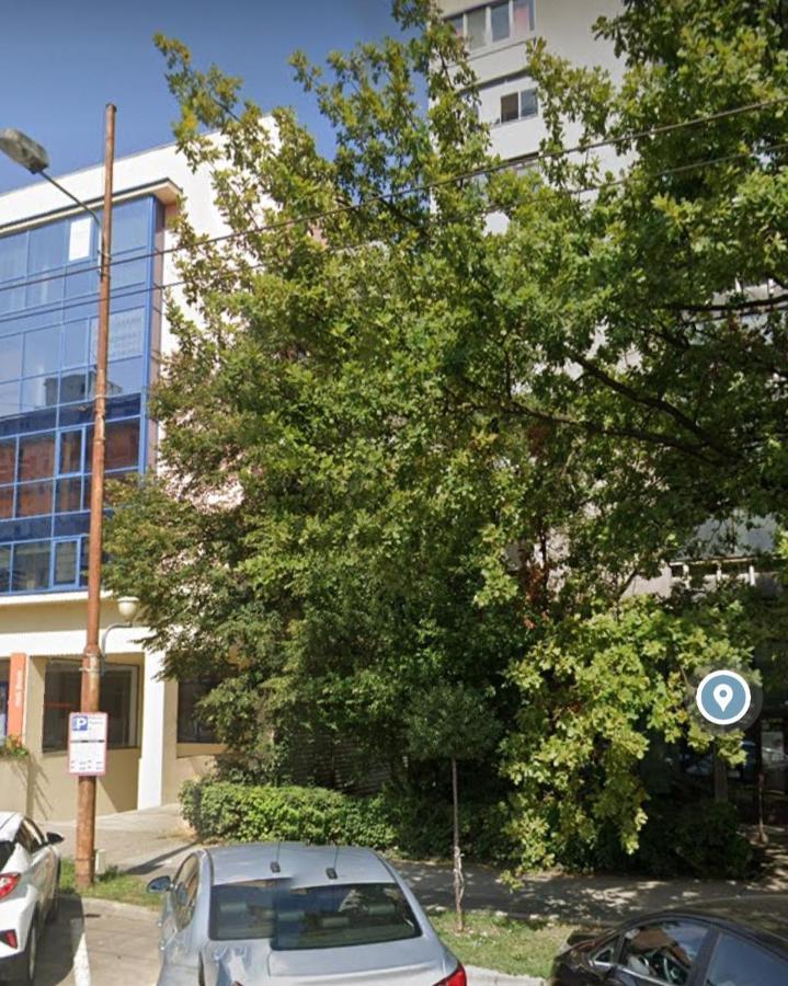 David'S Studio Тимишоара Экстерьер фото